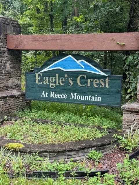 LT 43&44 Reece Mountain Road, Ellijay GA 30536 - Photo