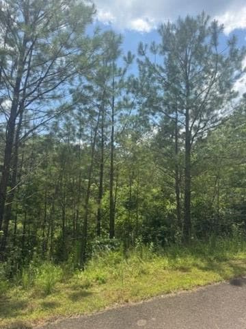 LT 43&44 Reece Mountain Road, Ellijay GA 30536 - Primary photo