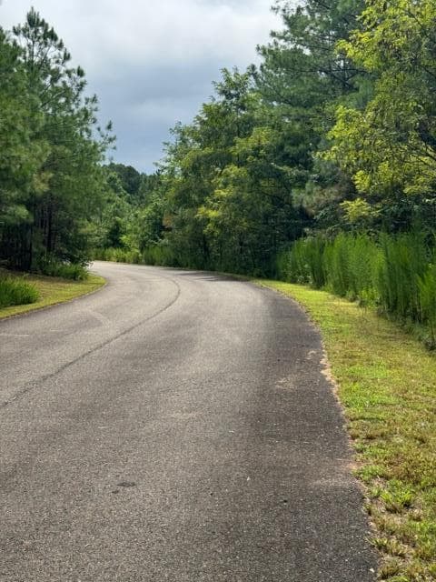 LT 43&44 Reece Mountain Road, Ellijay GA 30536 - Photo