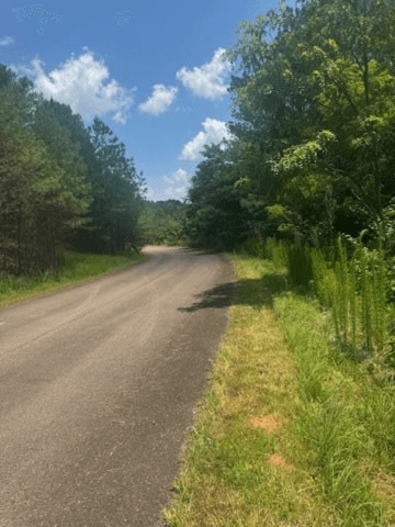 LT 43&44 Reece Mountain Road, Ellijay GA 30536 - Photo
