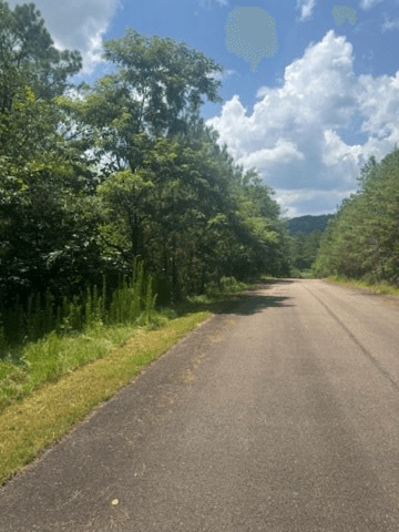 LT 43&44 Reece Mountain Road, Ellijay GA 30536 - Photo