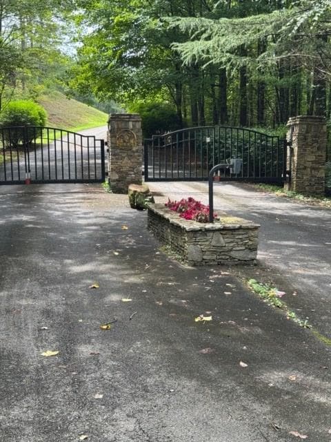 LT 43&44 Reece Mountain Road, Ellijay GA 30536 - Photo