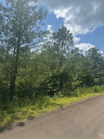 LT 43&44 Reece Mountain Road, Ellijay GA 30536 - Photo