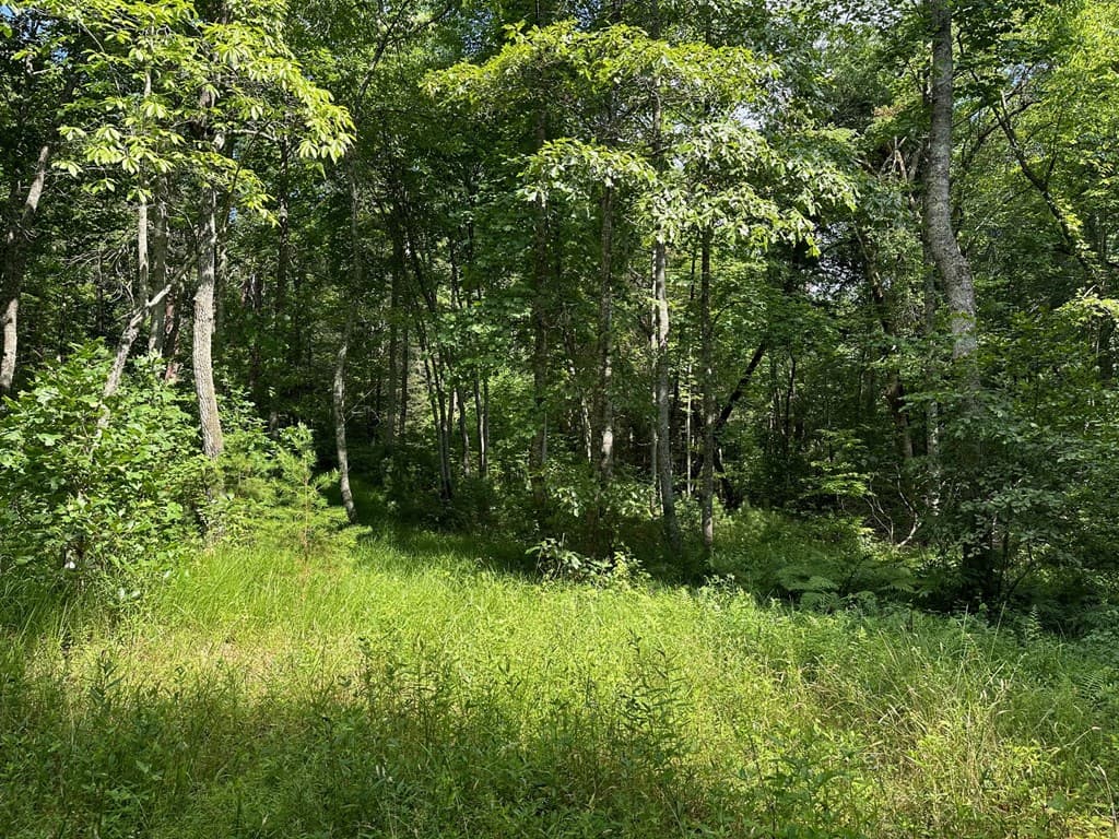 Lot 30 Fairview Drive, Morganton GA 30560 - Photo