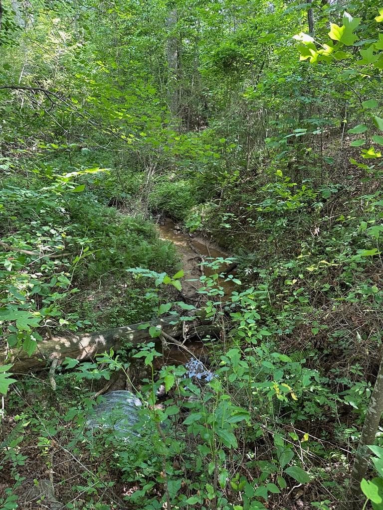Lot 30 Fairview Drive, Morganton GA 30560 - Photo