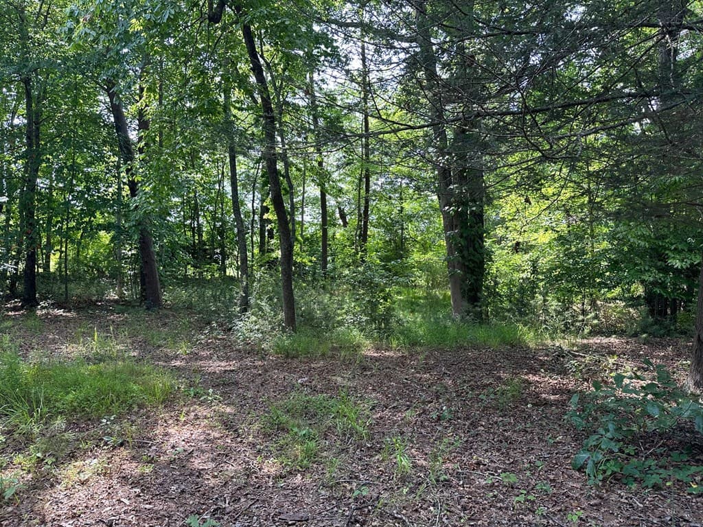 Lot 30 Fairview Drive, Morganton GA 30560 - Photo