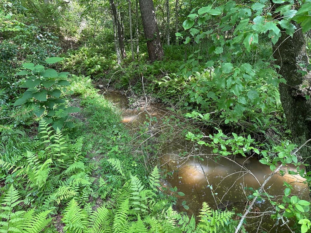 Lot 30 Fairview Drive, Morganton GA 30560 - Photo