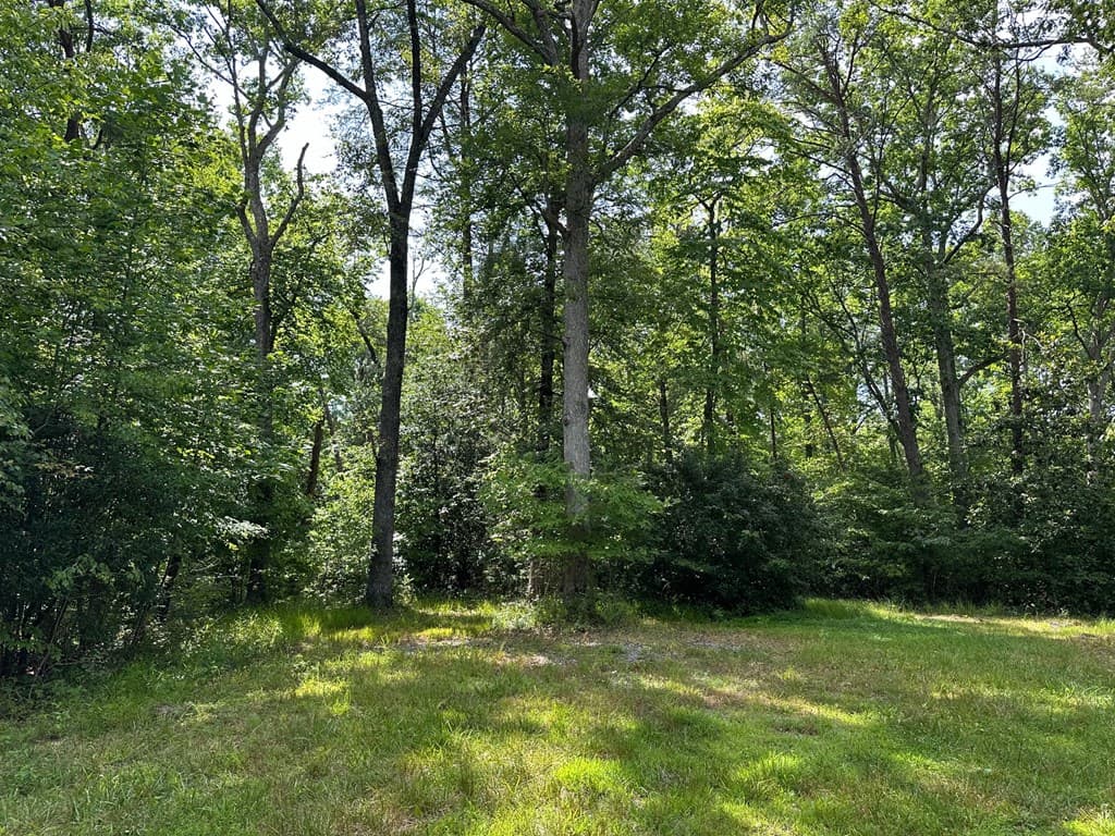 Lot 30 Fairview Drive, Morganton GA 30560 - Photo