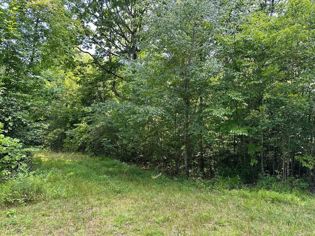 Lot 30 Fairview Drive, Morganton GA 30560 - Photo