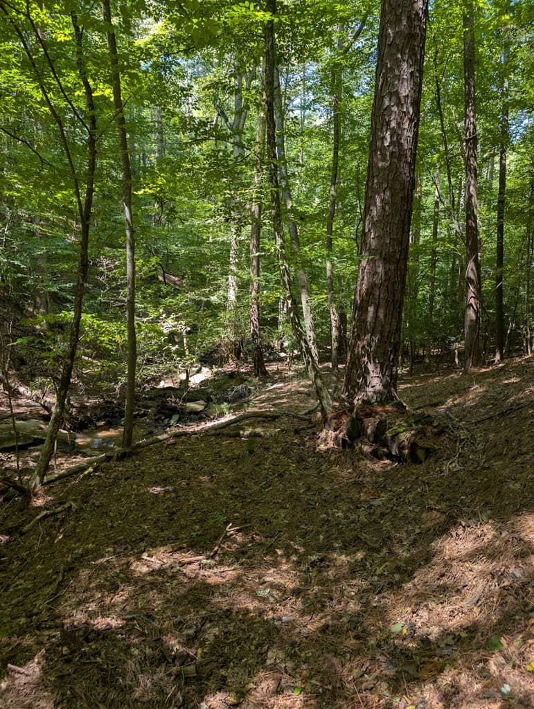 Lt 3079R Monocle Drive, Ellijay GA 30540 - Photo