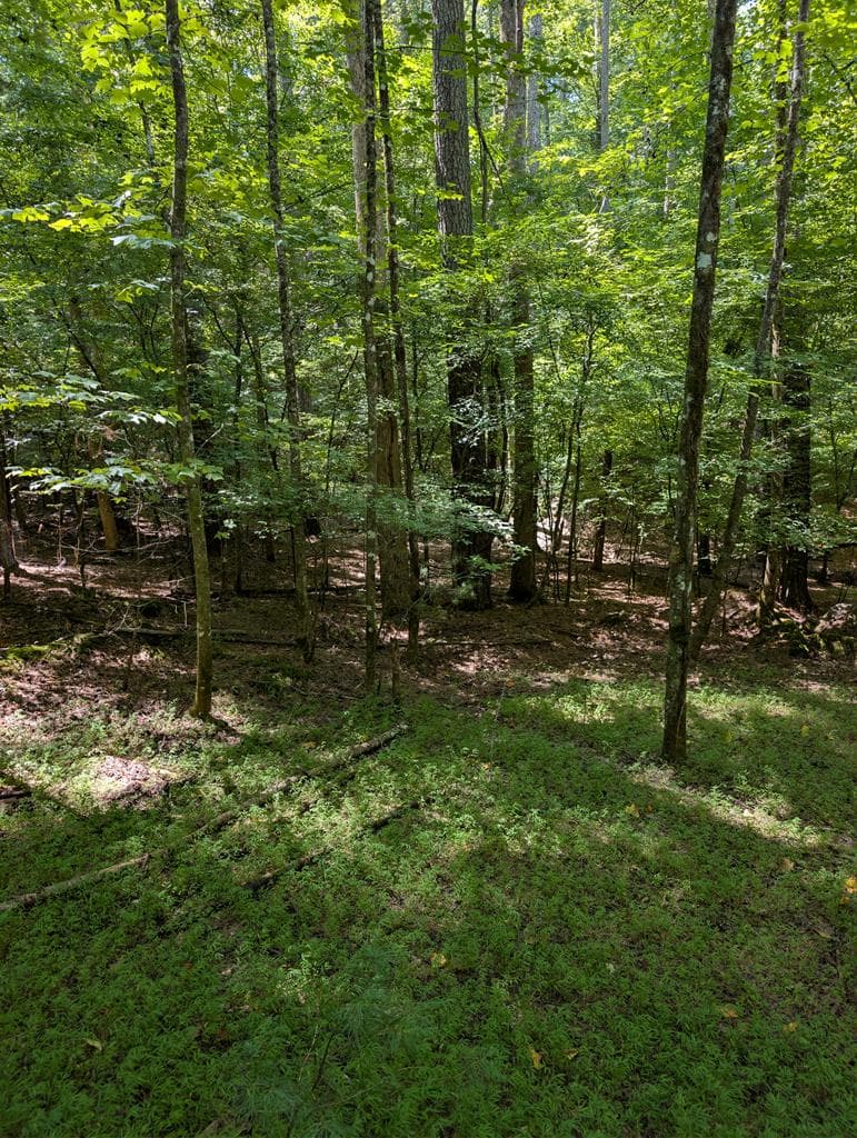 Lt 3079R Monocle Drive, Ellijay GA 30540 - Primary photo