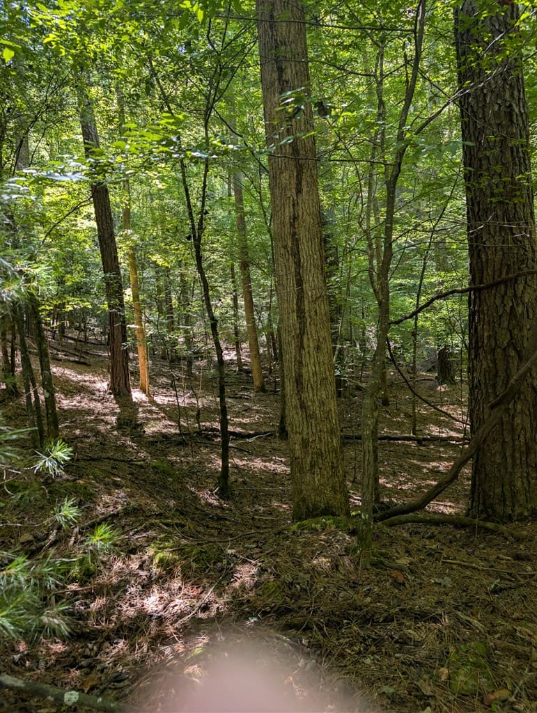 Lt 3079R Monocle Drive, Ellijay GA 30540 - Photo