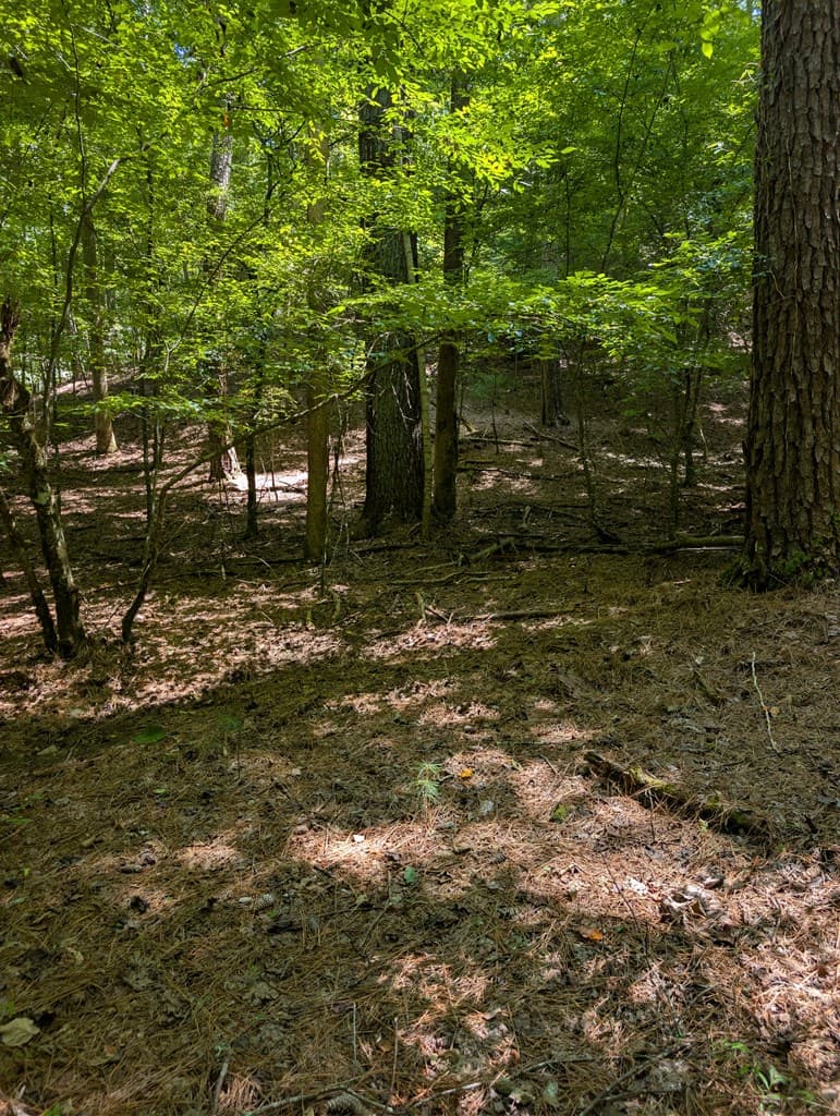 Lt 3079R Monocle Drive, Ellijay GA 30540 - Photo