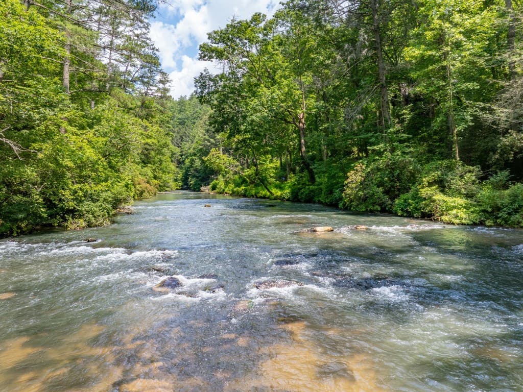 80 Jebs Ct, Ellijay GA 30540 - Photo