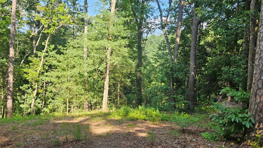 80 Jebs Ct, Ellijay GA 30540 - Photo