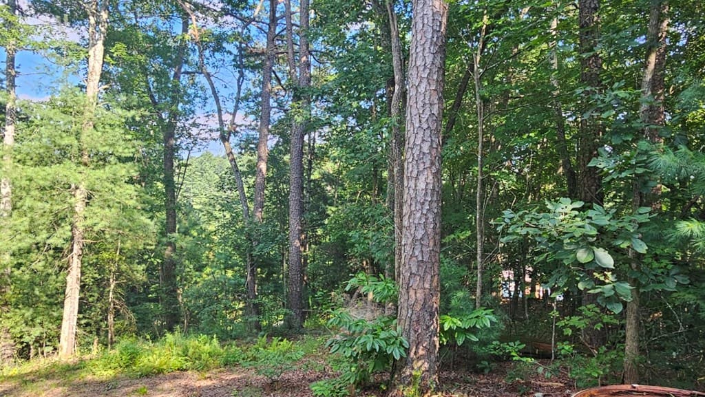80 Jebs Ct, Ellijay GA 30540 - Photo
