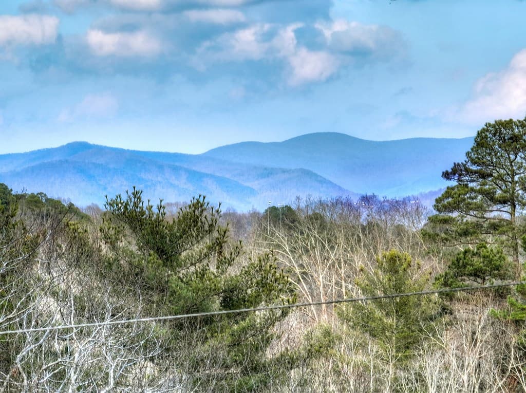 171 Mohawk Trail, Ellijay GA 30540 - Photo