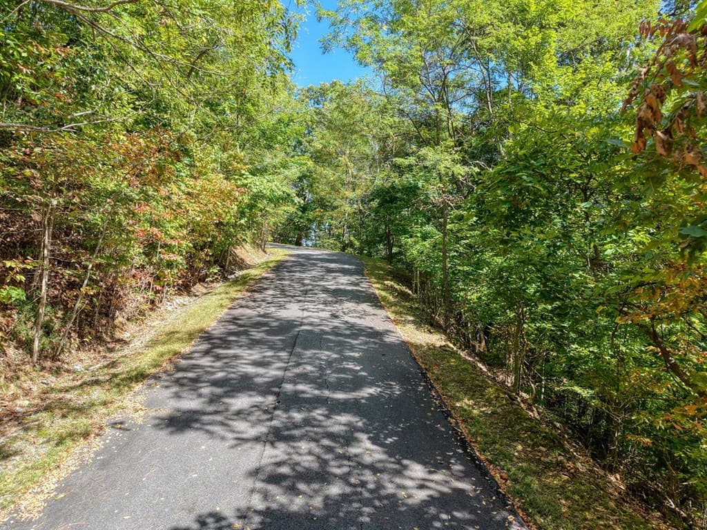 Lot 35 Overlook At Y. H., Young Harris GA 30582 - Photo