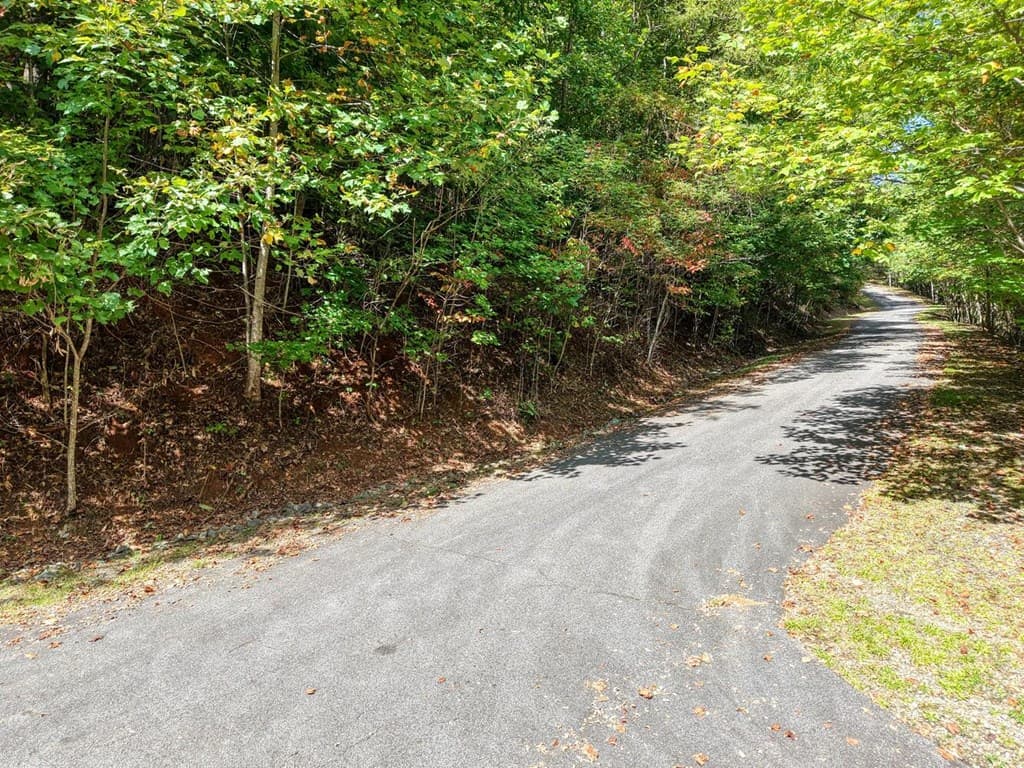 Lot 35 Overlook At Y. H., Young Harris GA 30582 - Photo