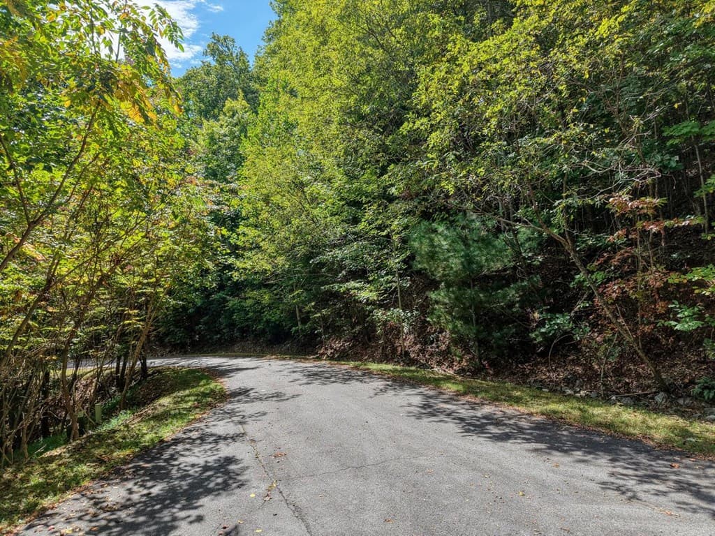 Lot 35 Overlook At Y. H., Young Harris GA 30582 - Photo