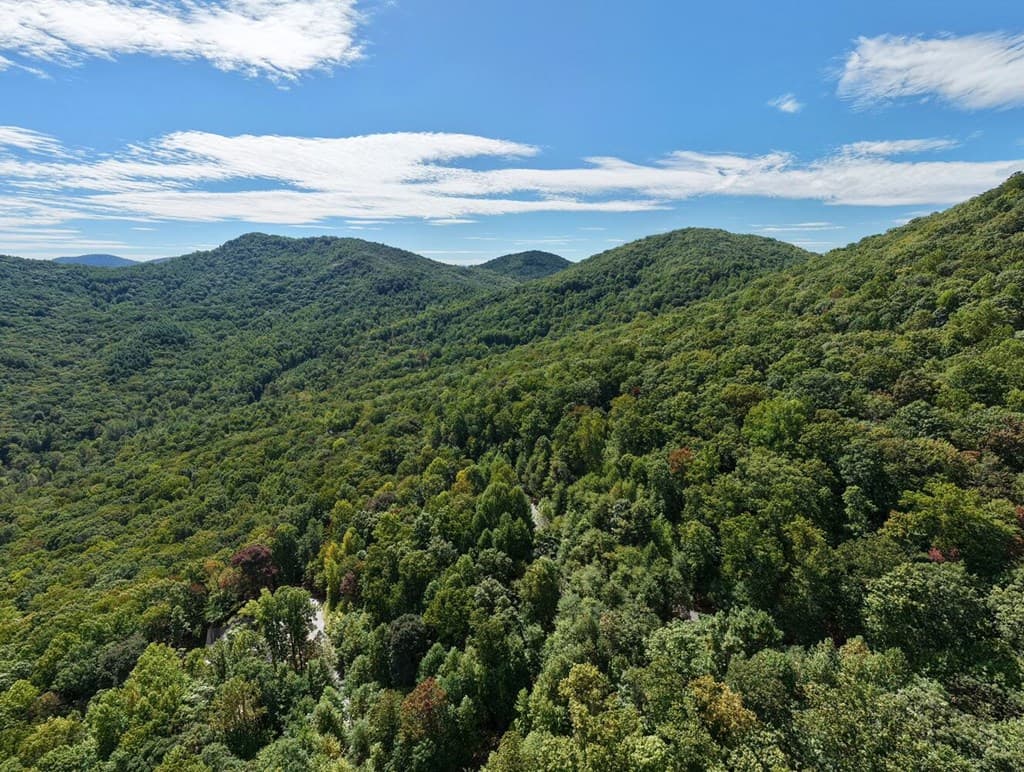 Lot 35 Overlook At Y. H., Young Harris GA 30582 - Photo