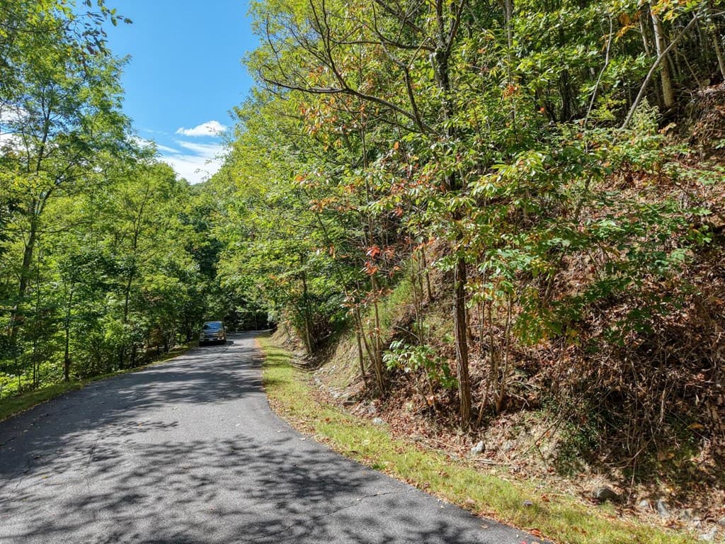 Lot 35 Overlook At Y. H., Young Harris GA 30582 - Photo