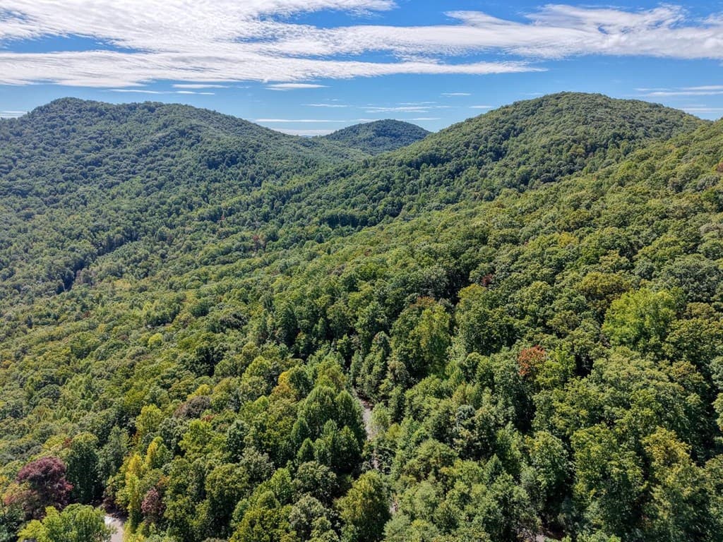 Lot 35 Overlook At Y. H., Young Harris GA 30582 - Photo