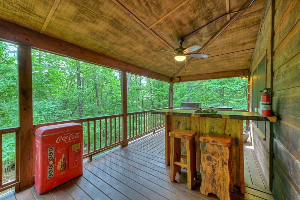 171 Mountain Lake Drive, Blue Ridge GA 30513 - Photo