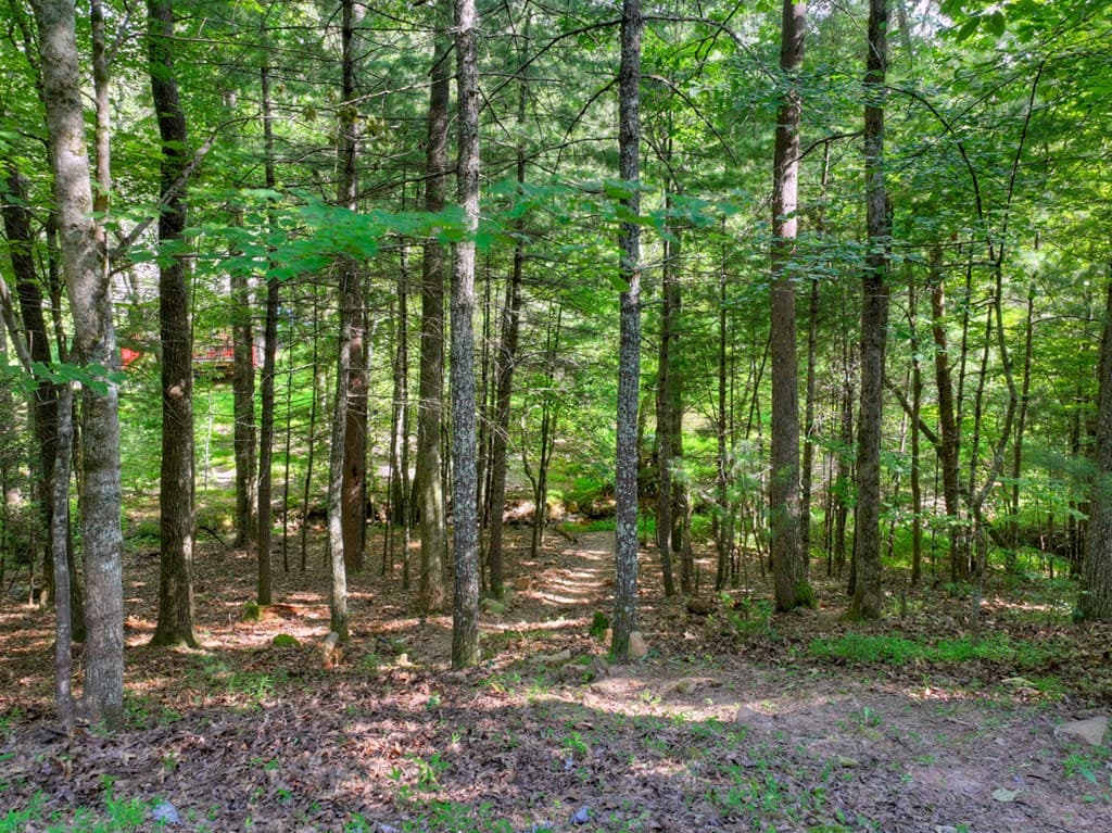171 Mountain Lake Drive, Blue Ridge GA 30513 - Photo