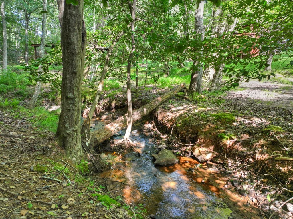 171 Mountain Lake Drive, Blue Ridge GA 30513 - Photo