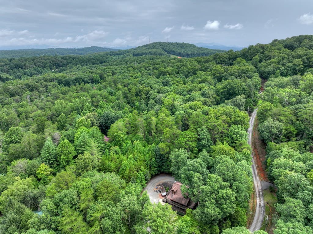 115 Fox Run Drive, Blue Ridge GA 30513 - Photo
