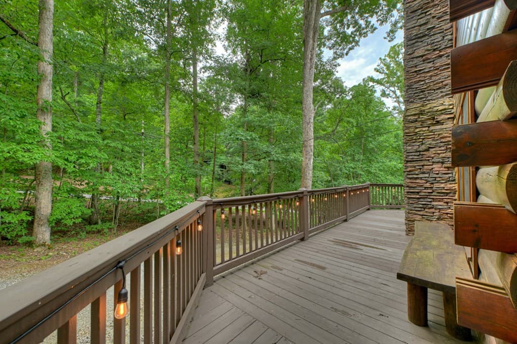 115 Fox Run Drive, Blue Ridge GA 30513 - Photo
