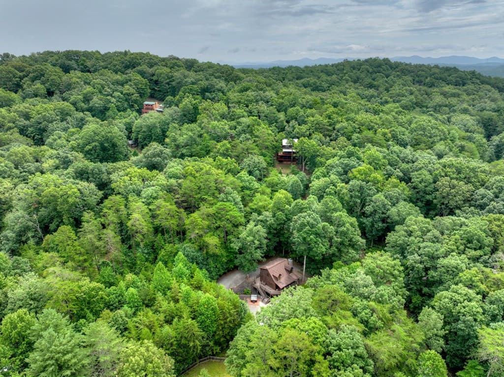 115 Fox Run Drive, Blue Ridge GA 30513 - Photo
