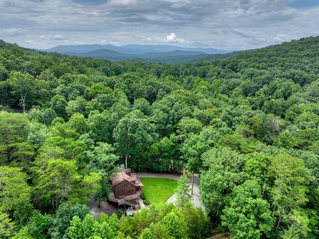 115 Fox Run Drive, Blue Ridge GA 30513 - Photo