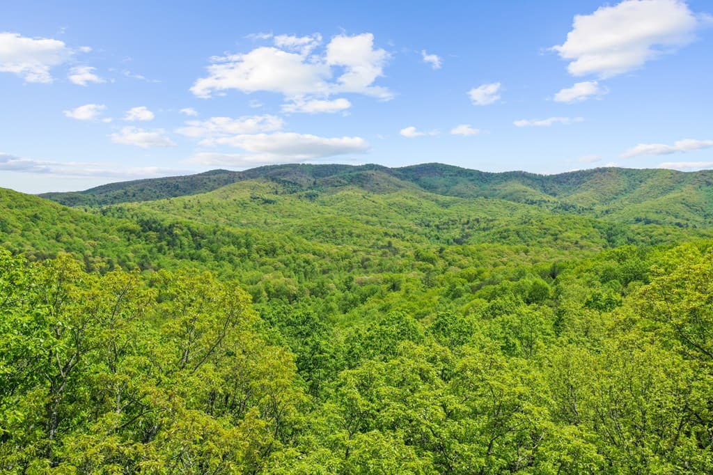 LT 19 Forest Ridge Drive, Blue Ridge GA 30540 - Photo