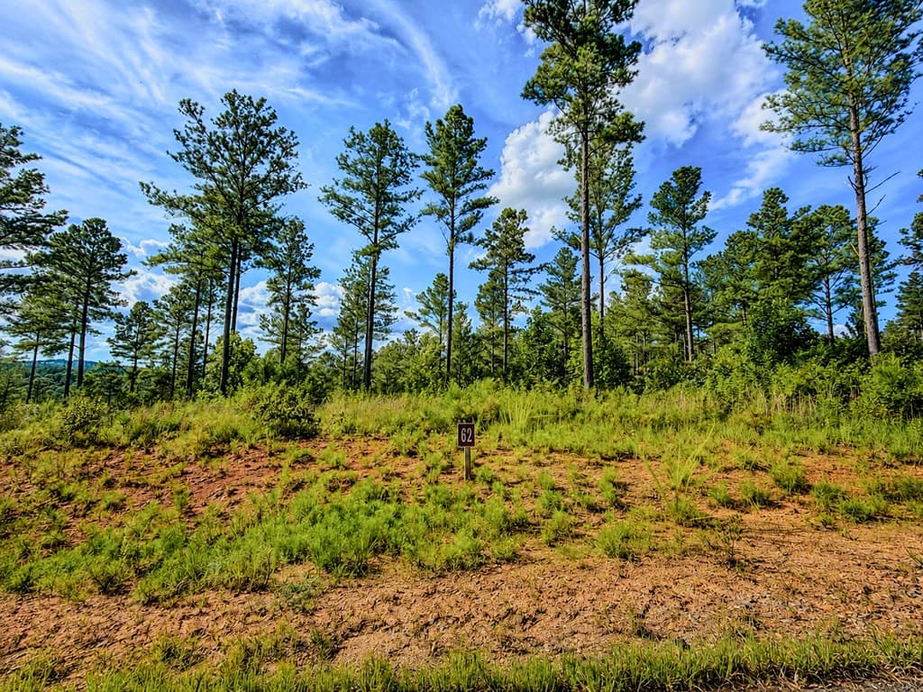 Lot 62 Seven Mile Creek Road, Talking Rock GA 30175 - Photo