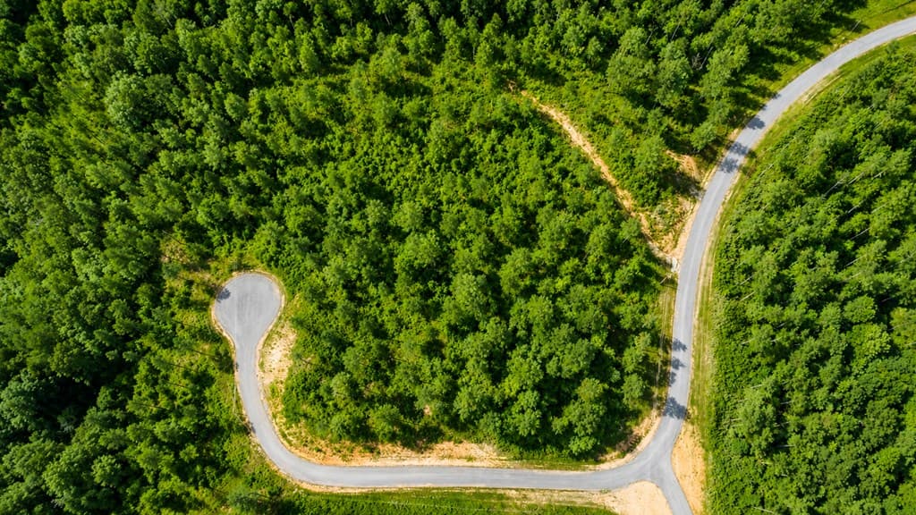 Lot 62 Seven Mile Creek Road, Talking Rock GA 30175 - Photo