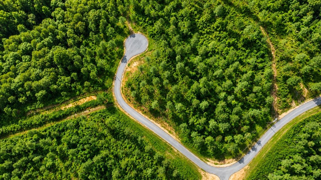 Lot 62 Seven Mile Creek Road, Talking Rock GA 30175 - Photo
