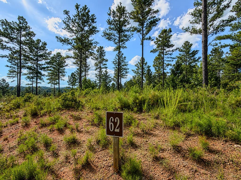 Lot 62 Seven Mile Creek Road, Talking Rock GA 30175 - Photo