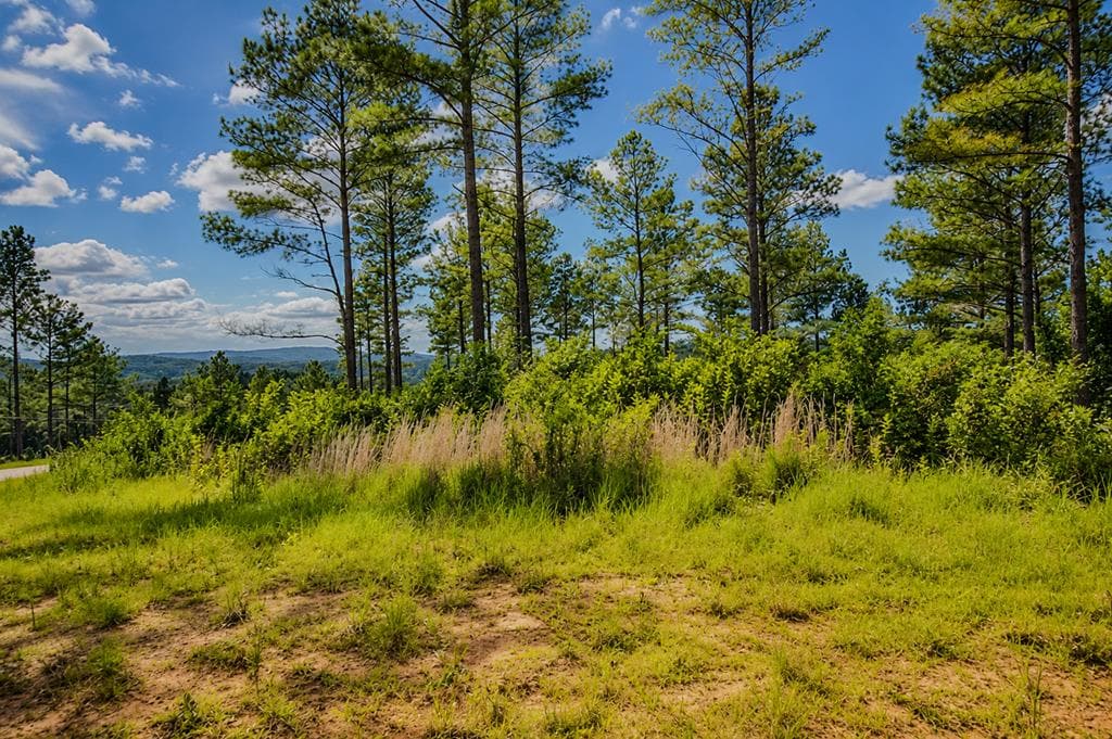 Lot 62 Seven Mile Creek Road, Talking Rock GA 30175 - Primary photo