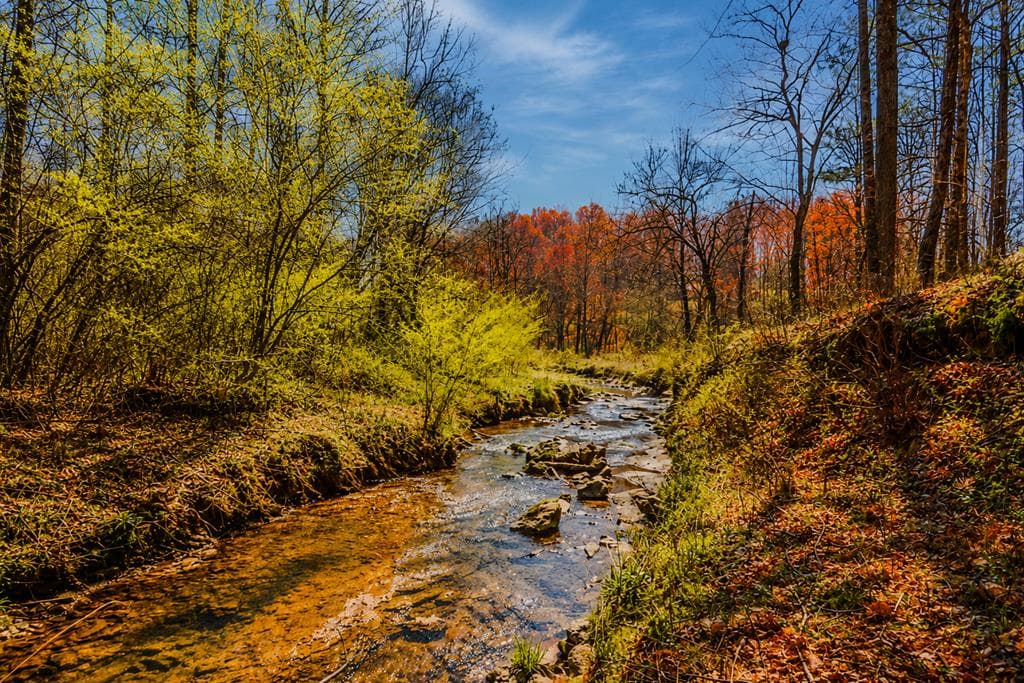 Lot 62 Seven Mile Creek Road, Talking Rock GA 30175 - Photo