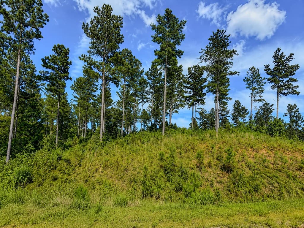 Lot 62 Seven Mile Creek Road, Talking Rock GA 30175 - Photo