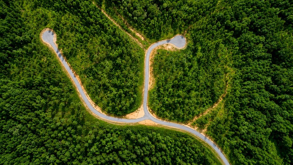 Lot 62 Seven Mile Creek Road, Talking Rock GA 30175 - Photo