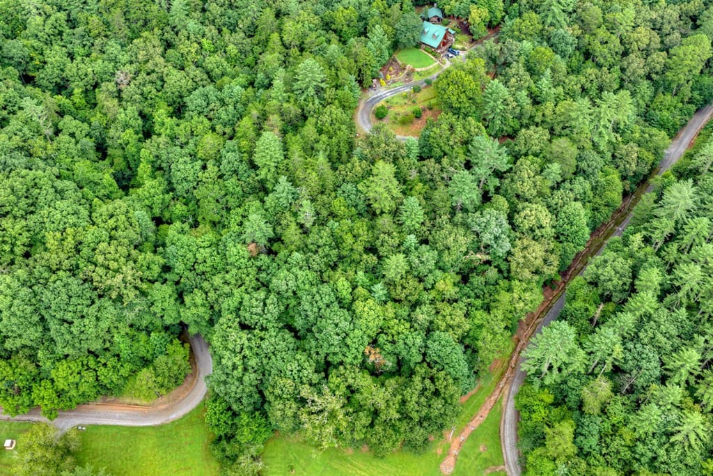 Lot 5B Toccoa River Forest, Mineral Bluff GA 30559 - Photo