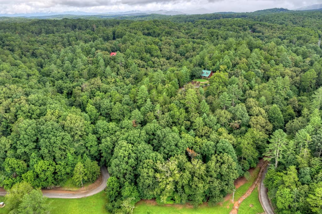 Lot 5B Toccoa River Forest, Mineral Bluff GA 30559 - Photo