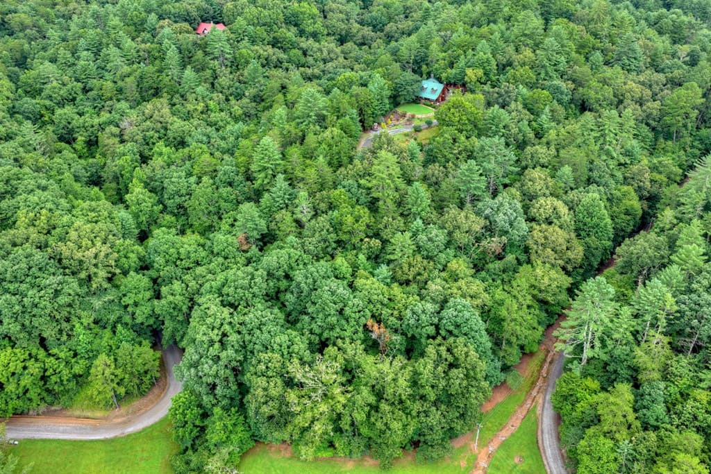 Lot 5B Toccoa River Forest, Mineral Bluff GA 30559 - Photo