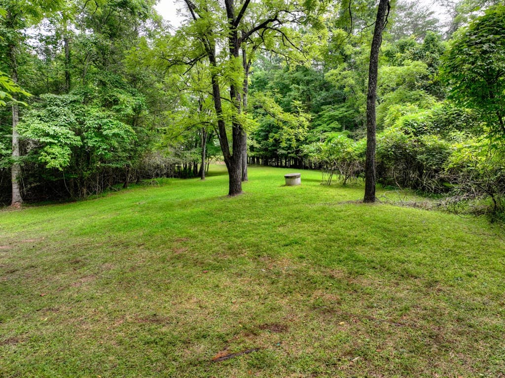 6162 Hardscrabble Road, Mineral Bluff GA 30560 - Photo