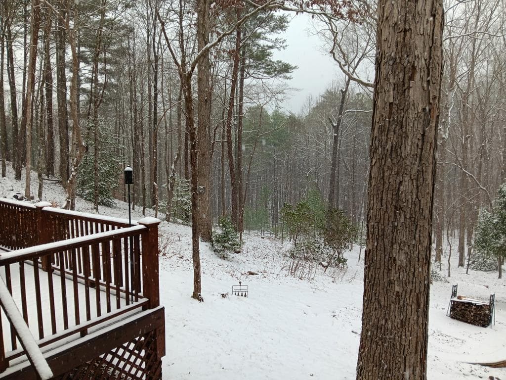 150 Trail Tree Drive, Blairsville GA 30512 - Photo