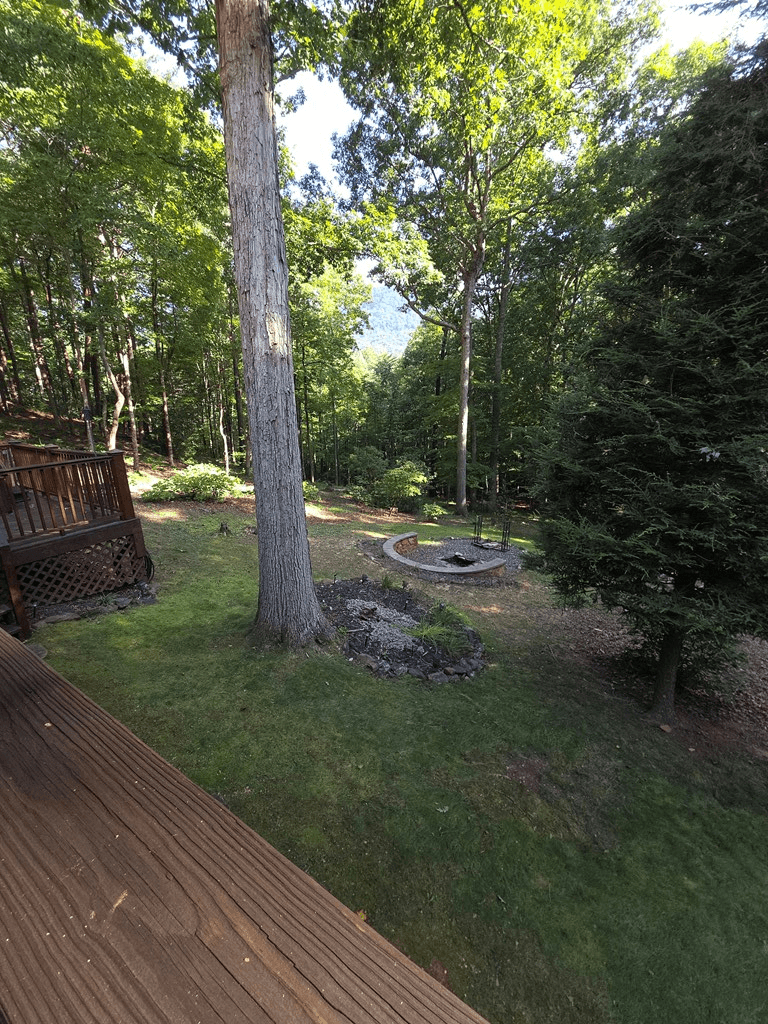 150 Trail Tree Drive, Blairsville GA 30512 - Photo
