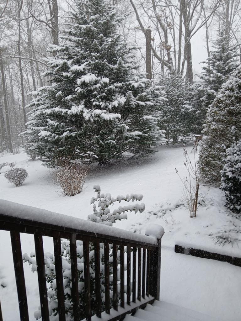 150 Trail Tree Drive, Blairsville GA 30512 - Photo